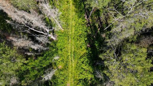 74035 County Highway A, Iron River, WI 54847