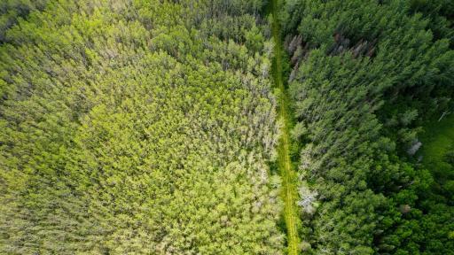 74035 County Highway A, Iron River, WI 54847