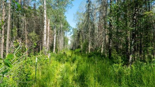 74035 County Highway A, Iron River, WI 54847