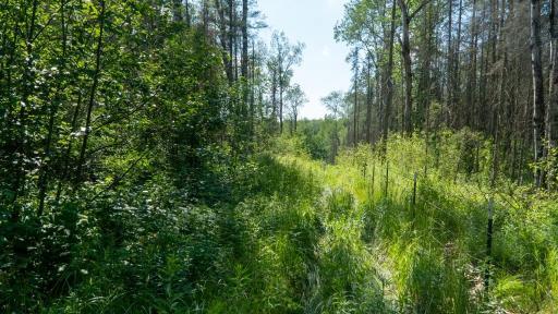 74035 County Highway A, Iron River, WI 54847