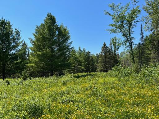 74035 County Highway A, Iron River, WI 54847