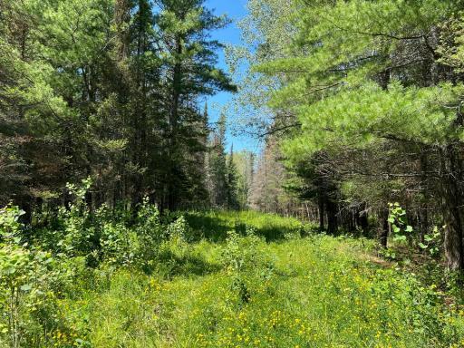 74035 County Highway A, Iron River, WI 54847