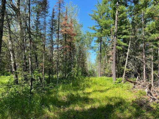 74035 County Highway A, Iron River, WI 54847