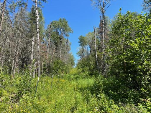 74035 County Highway A, Iron River, WI 54847