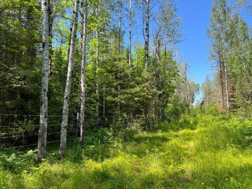 74035 County Highway A, Iron River, WI 54847