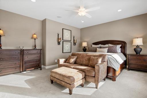 Additional view of Primary suite. Huge closet complete with California Closet system.