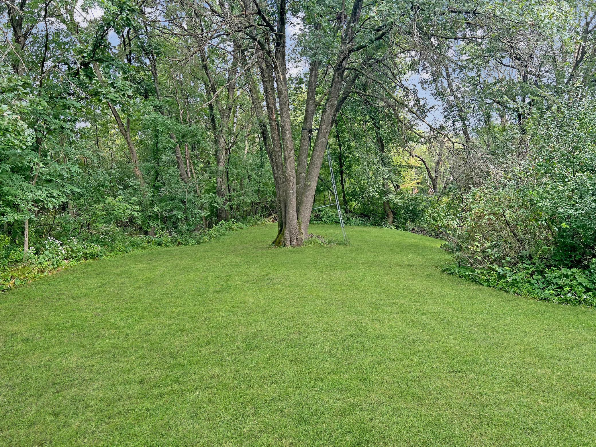 Photo 47