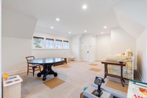 37337 Piney Ridge Lane, Pine River, MN 56474