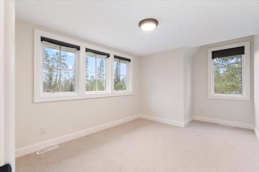 37337 Piney Ridge Lane, Pine River, MN 56474