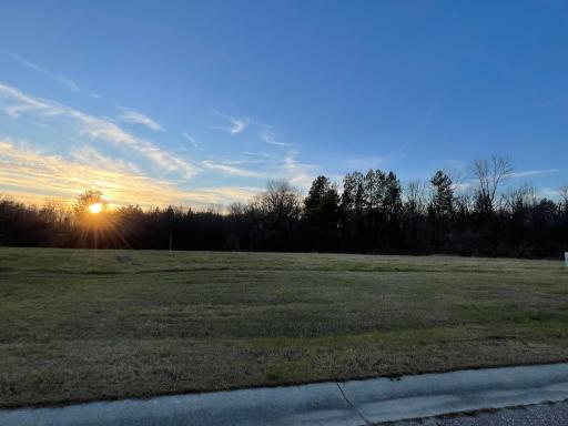 Sun-warmed ground waits for a foundation and fresh beginnings.
