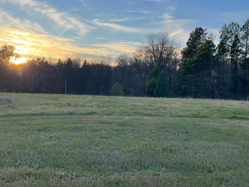 The land sits patiently, prepared for a home filled with life.