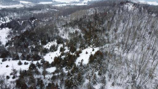 W3740 Evenson Road, Mindoro, WI 54644