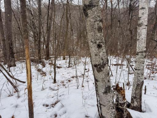 W3740 Evenson Road, Mindoro, WI 54644
