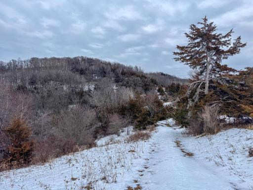W3740 Evenson Road, Mindoro, WI 54644