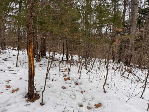 W3740 Evenson Road, Mindoro, WI 54644