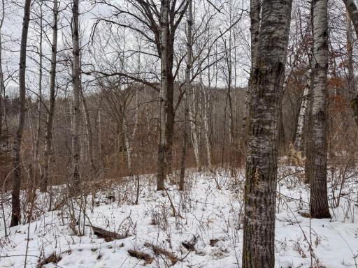 W3740 Evenson Road, Mindoro, WI 54644