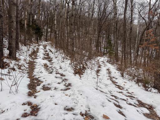 W3740 Evenson Road, Mindoro, WI 54644