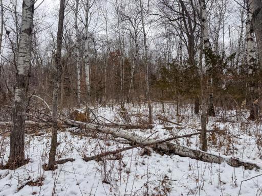 W3740 Evenson Road, Mindoro, WI 54644