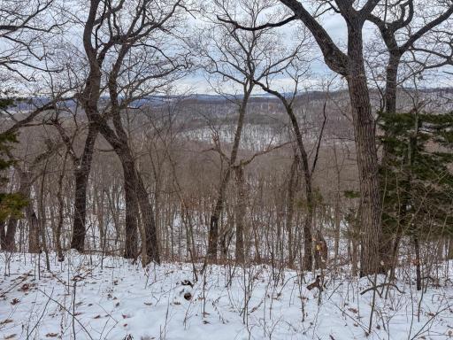 W3740 Evenson Road, Mindoro, WI 54644