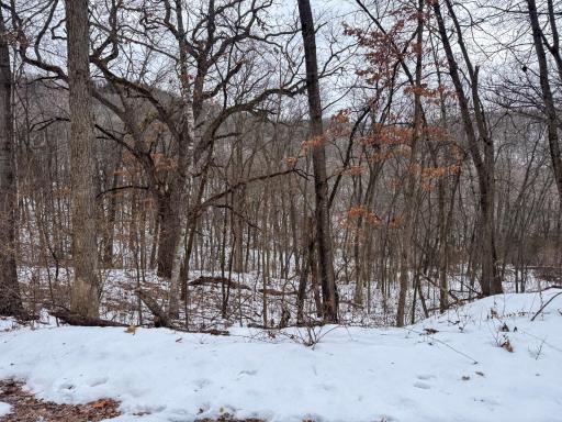 W3740 Evenson Road, Mindoro, WI 54644