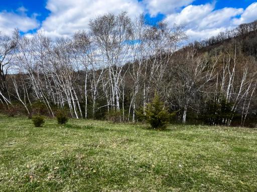 W3740 Evenson Road, Mindoro, WI 54644
