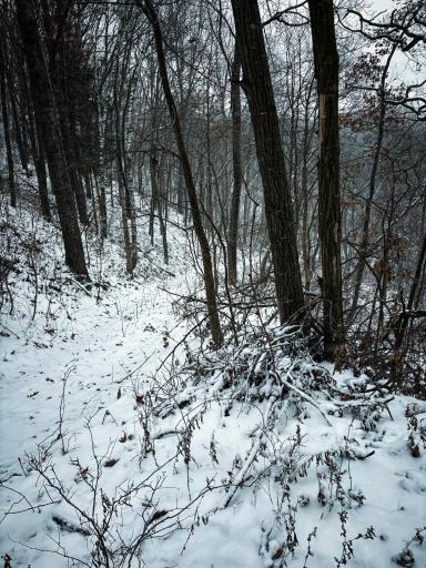 W3740 Evenson Road, Mindoro, WI 54644