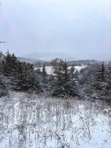 W3740 Evenson Road, Mindoro, WI 54644