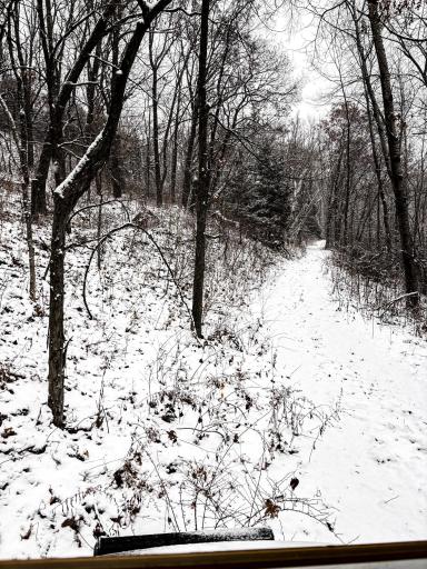 W3740 Evenson Road, Mindoro, WI 54644