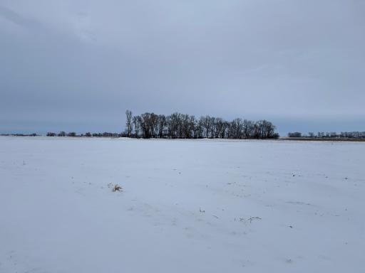 1st St SE 1st St SE, Cooperstown, ND 58425