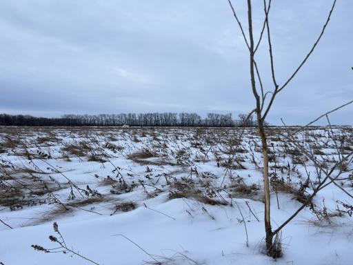 1st St SE 1st St SE, Cooperstown, ND 58425