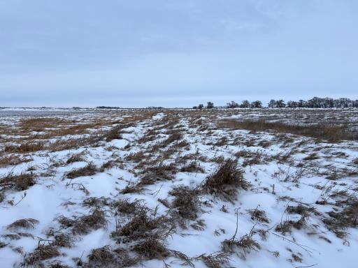 1st St SE 1st St SE, Cooperstown, ND 58425