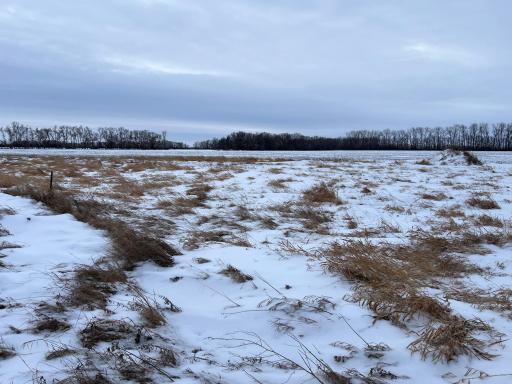 1st St SE 1st St SE, Cooperstown, ND 58425