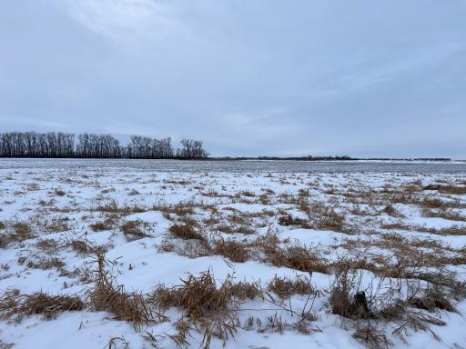 1st St SE 1st St SE, Cooperstown, ND 58425