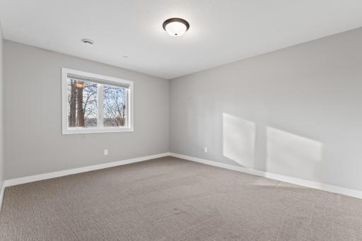 Lower level 3rd bedroom