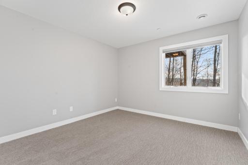 Lower level 4th bedroom