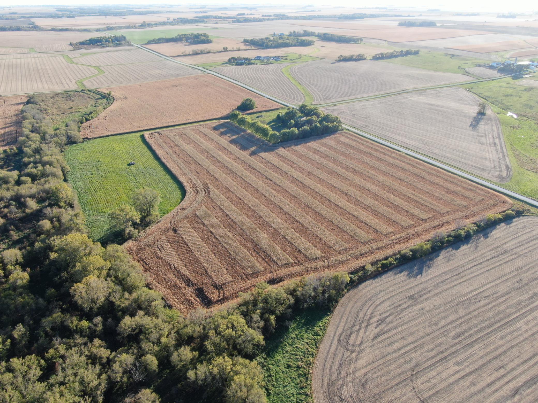DJI_0282.JPG