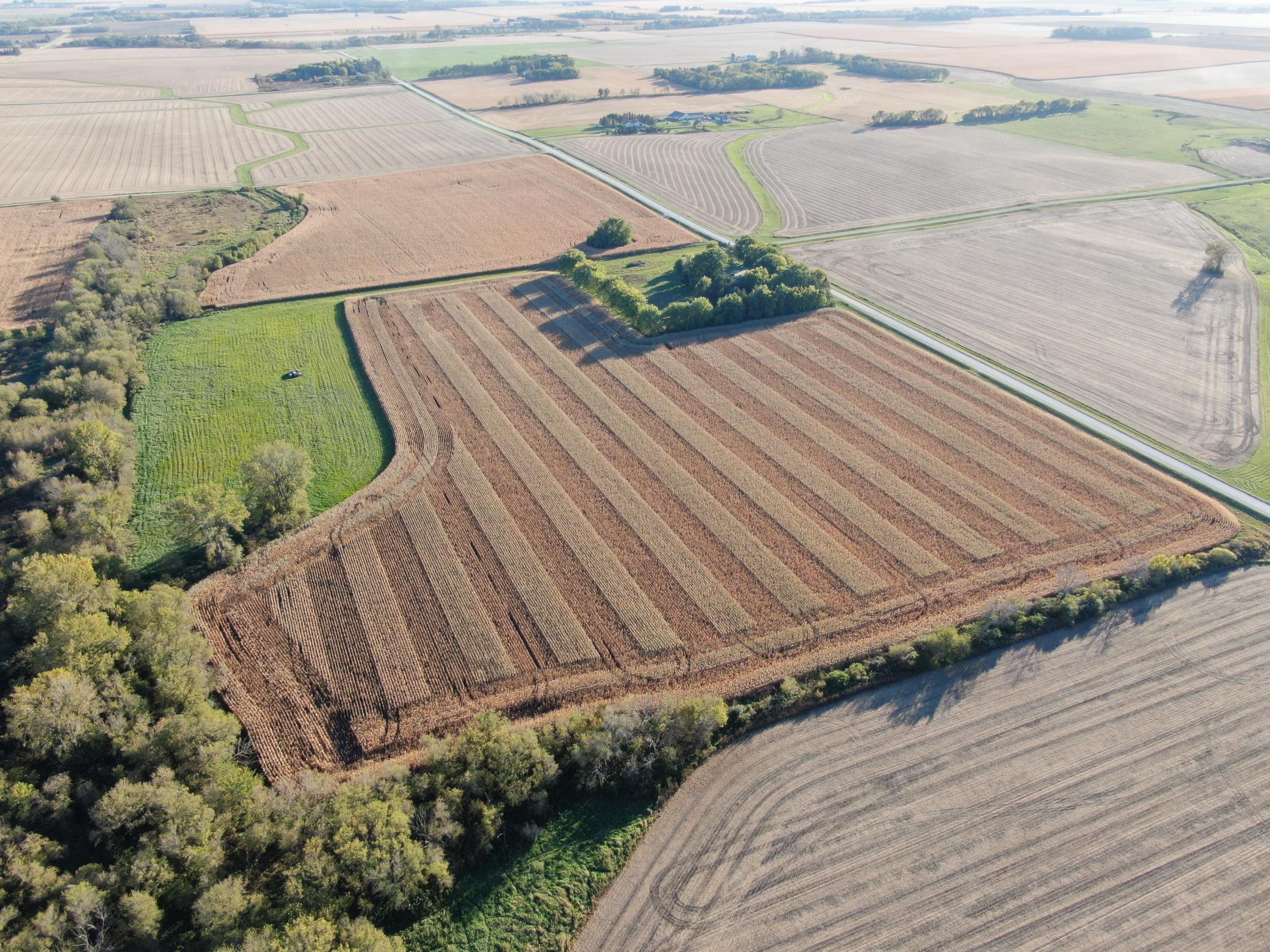 DJI_0283.JPG