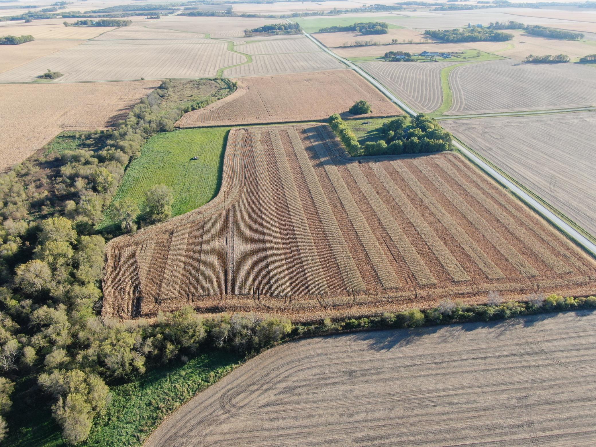 DJI_0284.JPG
