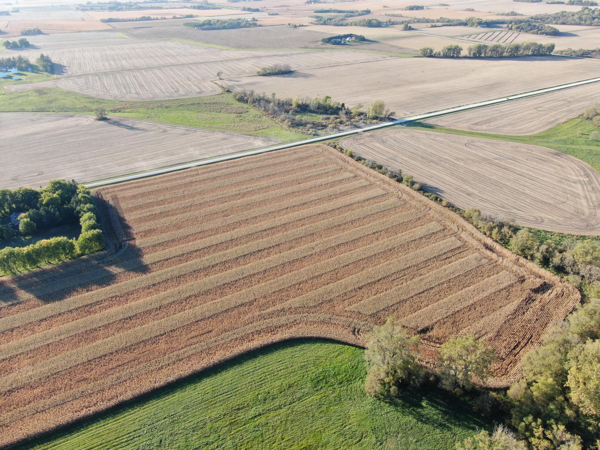DJI_0278.JPG