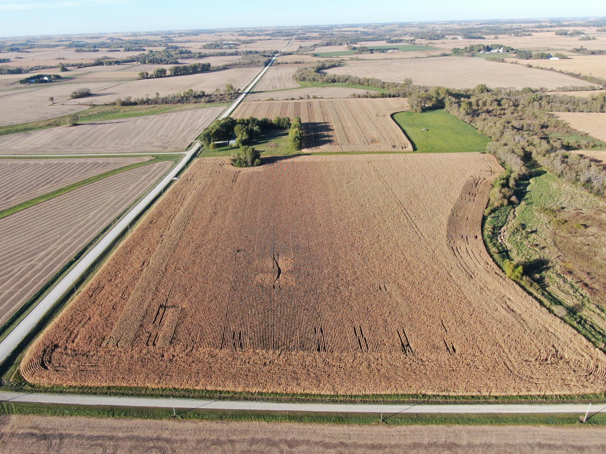 DJI_0271.JPG