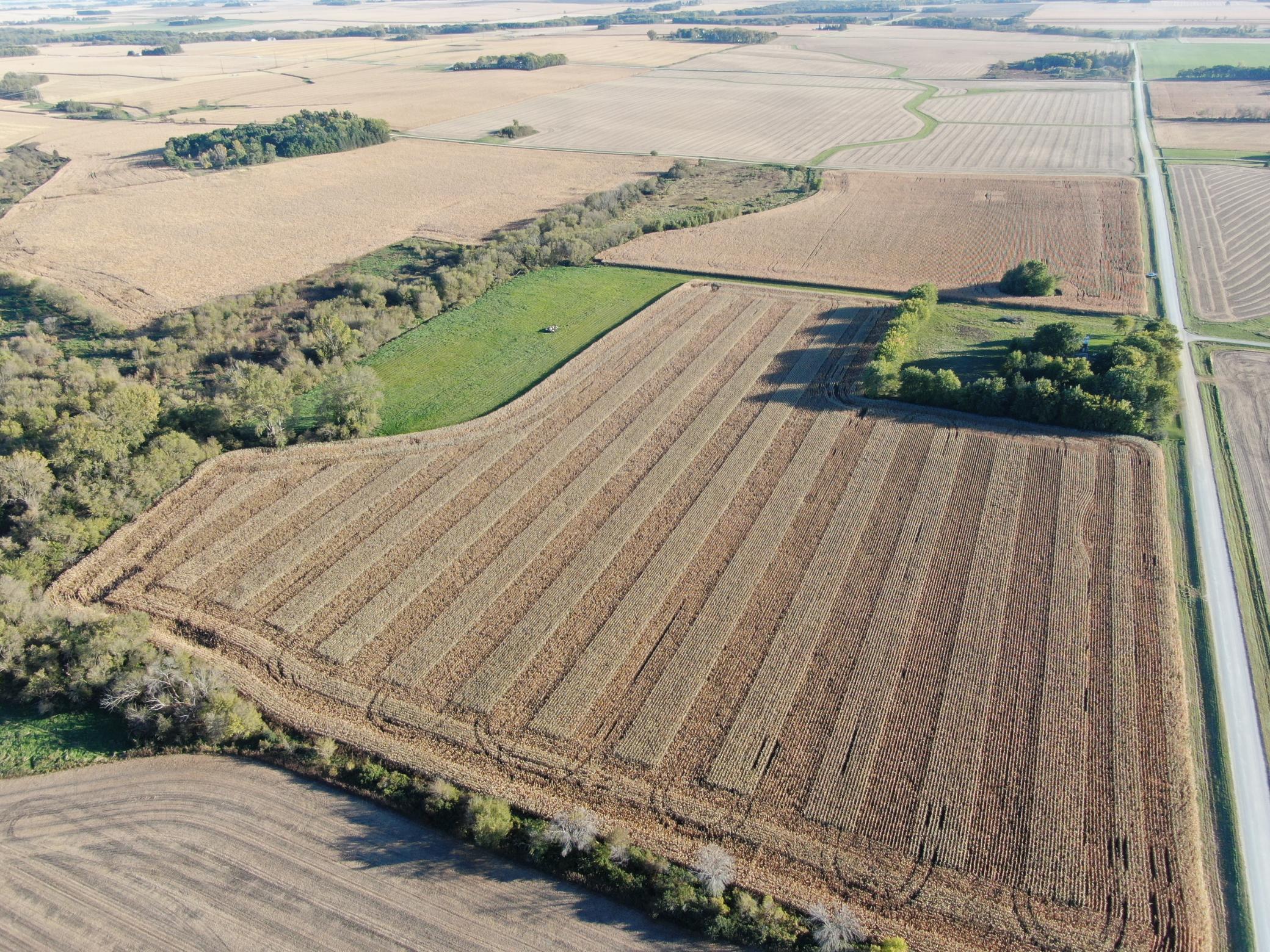 DJI_0285.JPG