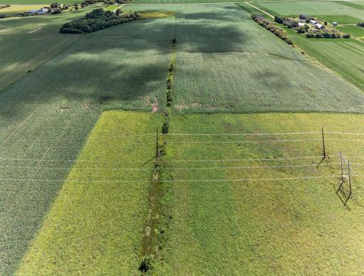 TBD County Road 149, Hayfield, MN 55940