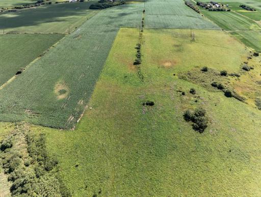 TBD County Road 149, Hayfield, MN 55940