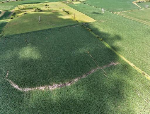 TBD County Road 149, Hayfield, MN 55940