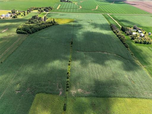 TBD County Road 149, Hayfield, MN 55940