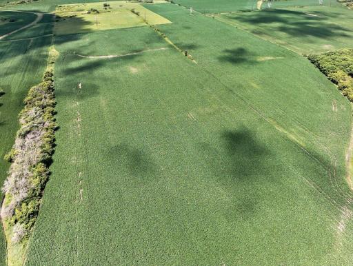 TBD County Road 149, Hayfield, MN 55940