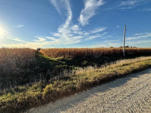 TBD County Road 149, Hayfield, MN 55940