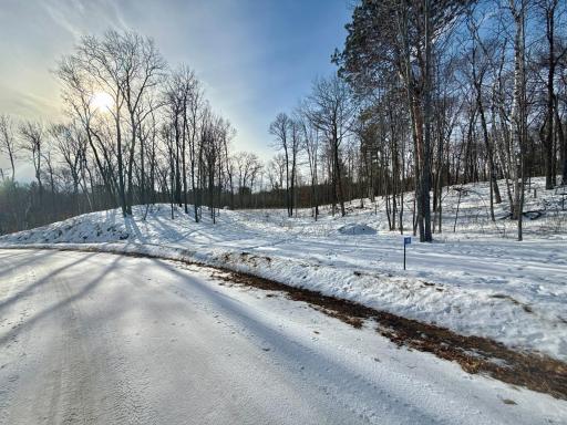 480 Ridgeway Lane, Walker, MN 56484