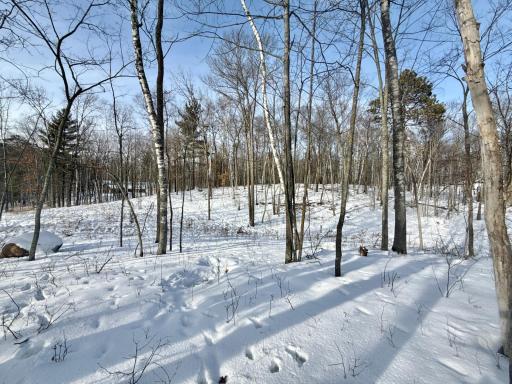 480 Ridgeway Lane, Walker, MN 56484
