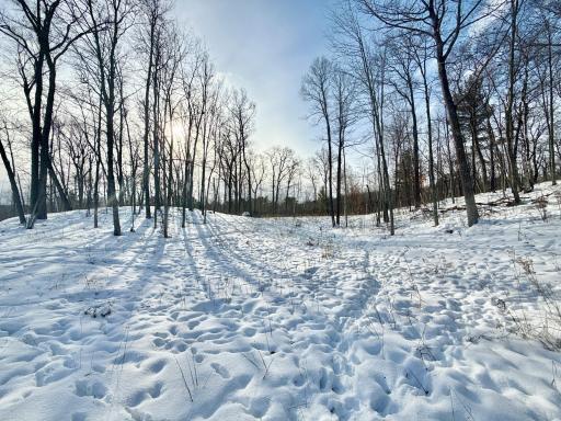 480 Ridgeway Lane, Walker, MN 56484